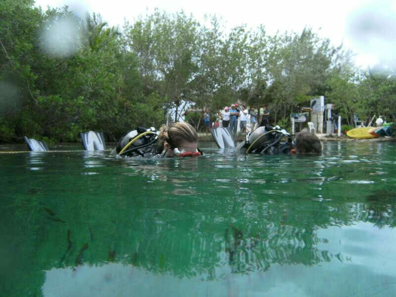 Tulum: Discover Scuba Diving in Cenotes - Why This Tour Is a Great Choice