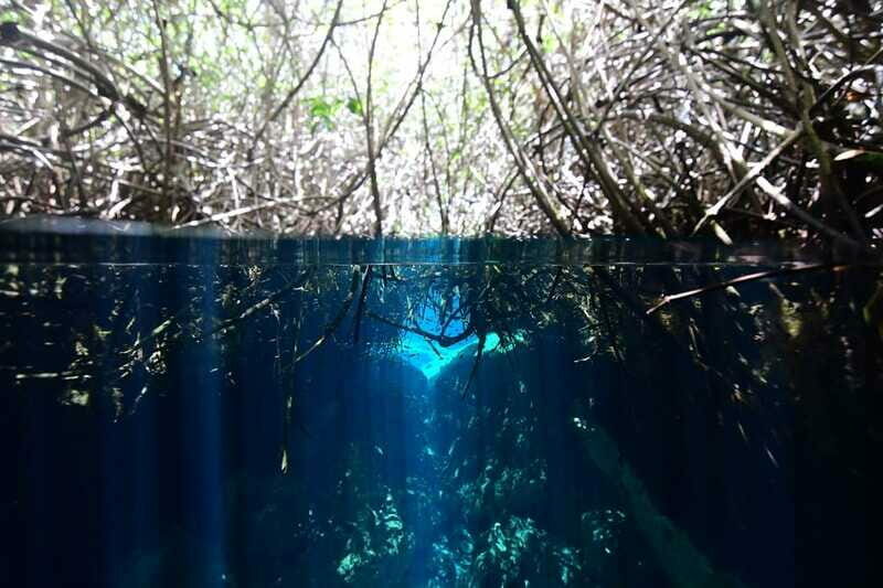 Tulum: Discover Scuba Diving in Cenotes - Final Thoughts