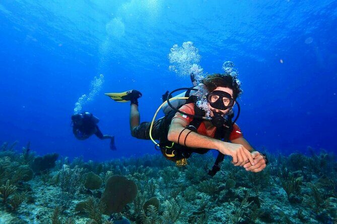 Tulum Diving (Reef) 2 Tanks - Key Points