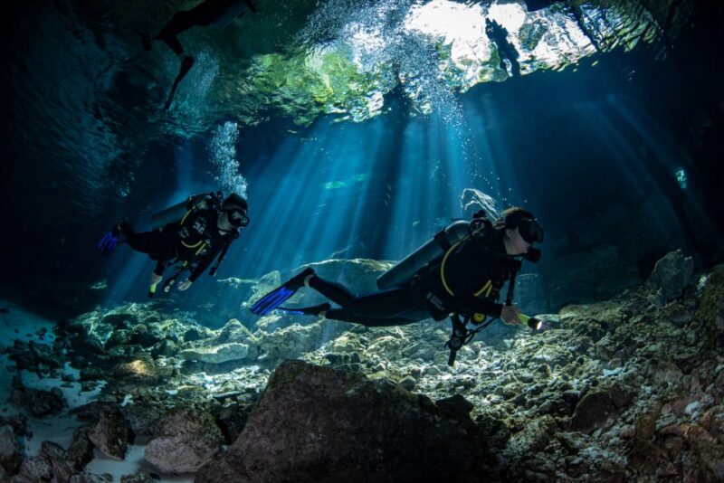 Tulum : Dos Ojos Cenote 2 Scuba Dives (Certified Divers) - Itinerary Details