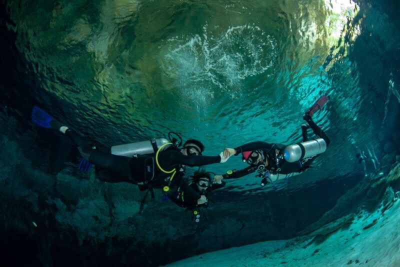 Tulum : Dos Ojos Cenote 2 Scuba Dives (Certified Divers) - Highlights and Experience