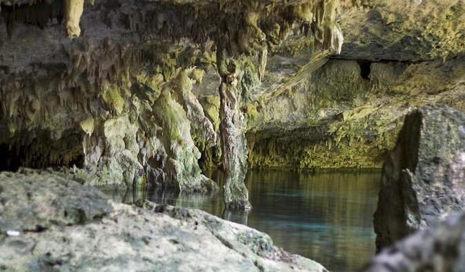 Tulum E-Bike Jungle Zip Line/Repel Snorkel Cenote + Lunch - Key Points