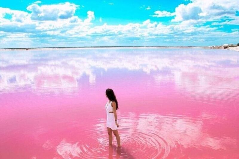 Tulum: Explore Las Coloradas & Rio Lagartos - Key Points
