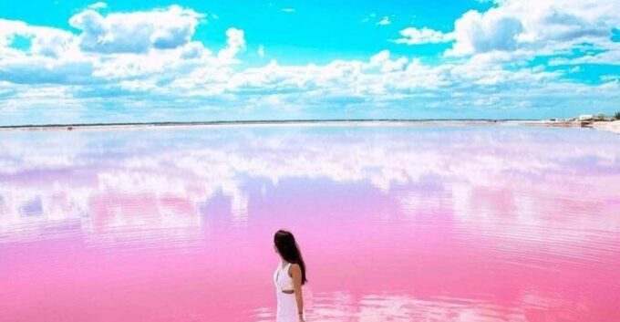 Tulum: Explore Las Coloradas & Rio Lagartos - Return to Tulum