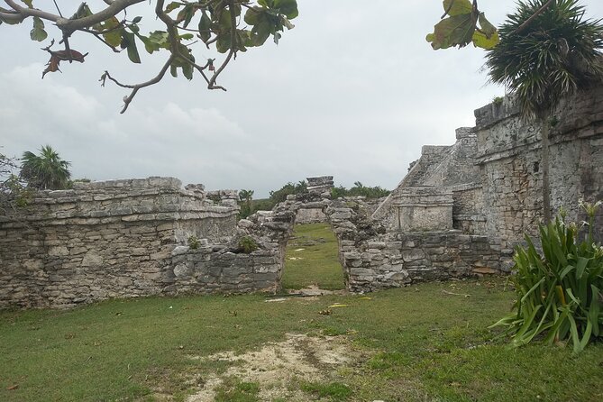 Tulum Guided Tour and Cenote Swim From Playa Del Carmen - Transportation and Accessibility