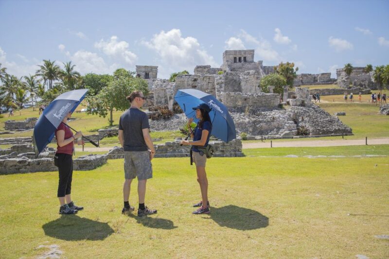 Tulum Guided Tour, Cenote, Lagoon Snorkeling and Lunch - Transportation and Pickup