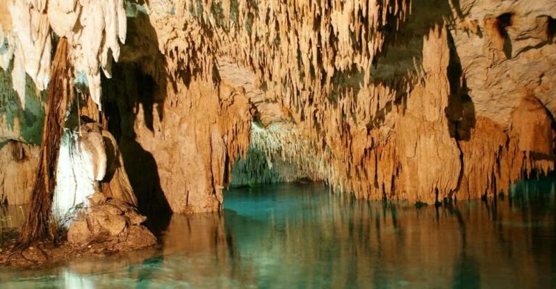 Tulum: Half-Day Jungle ATV Adventure Tour - Adventure Activities