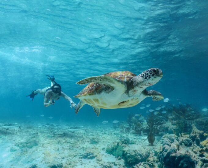Tulum: Half-Day Luxury Sailing Experience With Open Bar - Weather Considerations