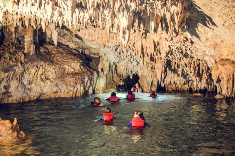 Tulum: Half Day Nature Experience! Turtles & Cenote - What to Bring & Restrictions