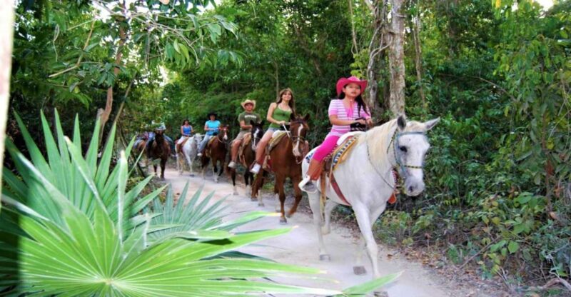 Tulum: Horseback Riding in the Jungle W/ Transfers and Lunch - Experience Highlights