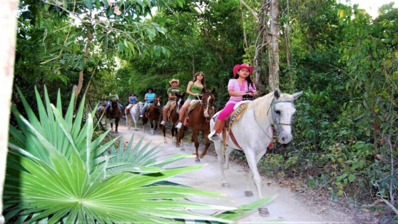 Tulum: Horseback Riding in the Jungle W/ Transfers and Lunch - Inclusions and Exclusions