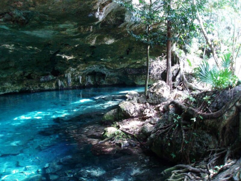 Tulum: Horseback Riding in the Jungle W/ Transfers and Lunch - Customer Feedback Summary