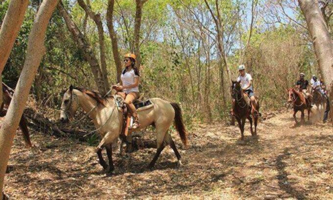 Tulum: Horseback Riding in the Jungle W/ Transfers and Lunch - Horseback Riding Adventure