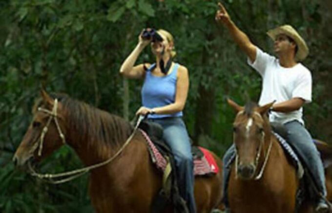 Tulum: Horseback Riding in the Jungle W/ Transfers and Lunch - Exploring Tulum National Park