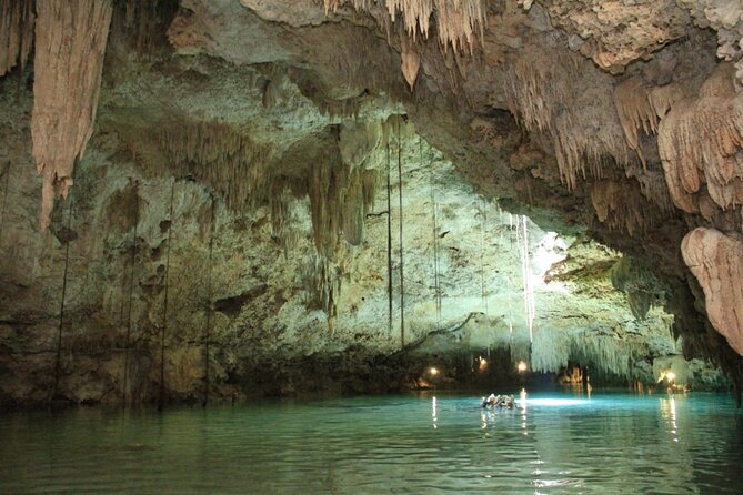Tulum Horseback Riding Tour With Lunch - Customer Feedback and Experiences