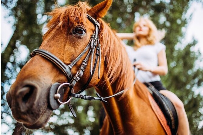 Tulum Horseback Riding Tour With Lunch - Tips for a Great Tour