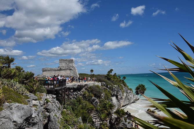 Tulum & Jungle Adventure Private Tour - Pickup and Transport