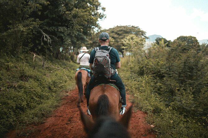 Tulum Jungle Horseback Ride + ATV + Ziplines + Cenote Combo Tour - Authentic Experiences and Authenticity