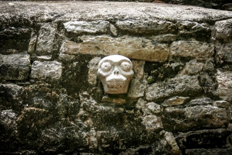 Tulum: Mayan Cenote Adventure Park Private Experience - Activities and Highlights