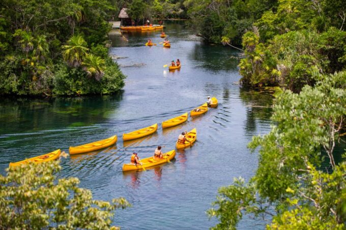 Tulum: Mayan Cenote Adventure Park Private Experience - Frequently Asked Questions