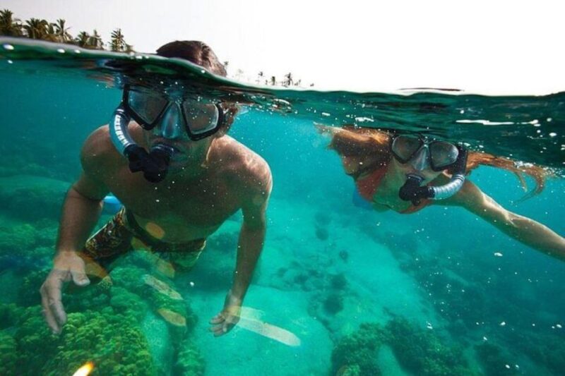 Tulum: Mayan Ruins and Snorkeling Adventure - Key Points
