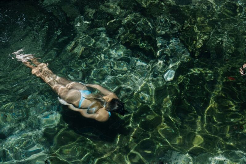 Tulum: Mayan Ruins Day Trip With Cenote Swim - Transportation