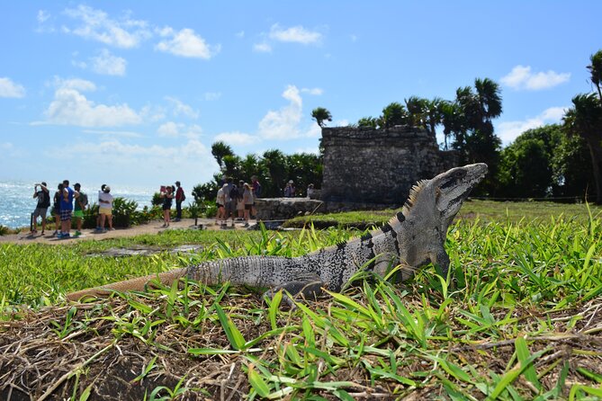 Tulum Mayan Ruins Express Shared Tour - Frequently Asked Questions