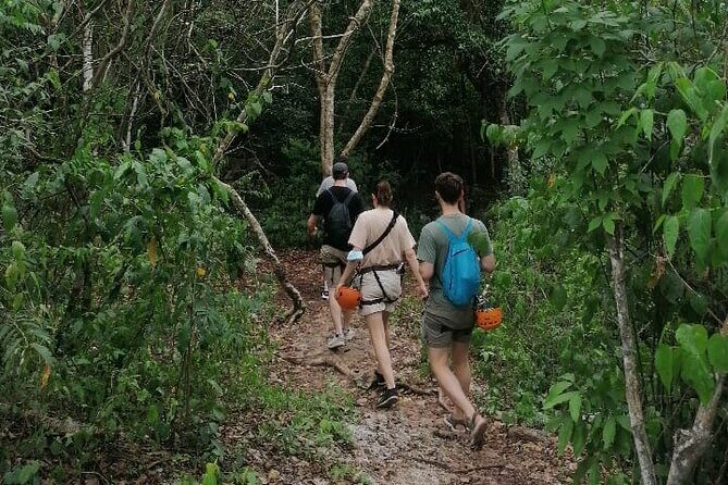 Tulum Monkey Sanctuary Tour Punta Laguna - Who Should Consider This Tour?