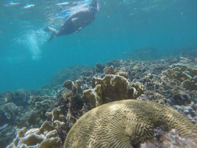Tulum: Private Snorkel and Sailing Experience - Suitability and Restrictions