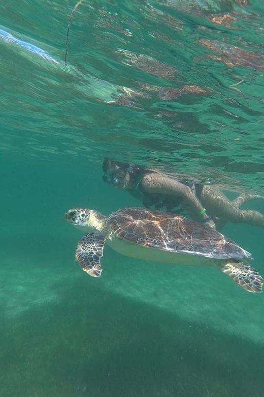 Tulum: Private Transfer to Chichen Itza, Coba, or EK Balam - Tour Highlights
