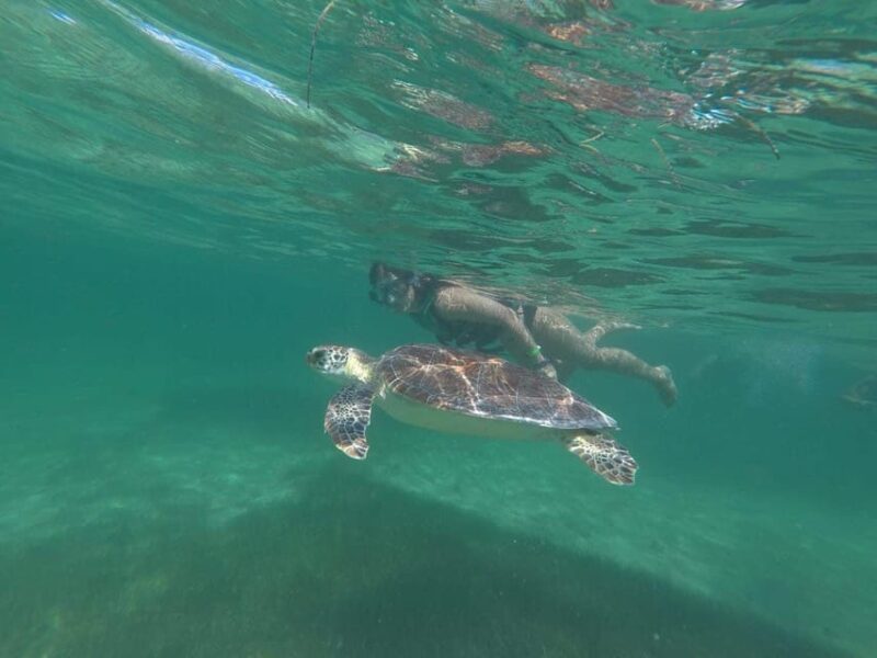 Tulum: Private Transfer to Chichen Itza, Coba, or EK Balam - Inclusions