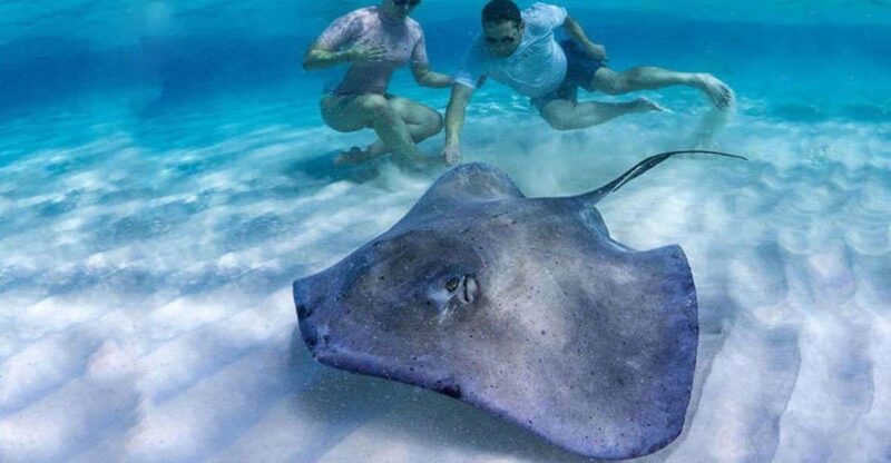 Tulum: Private Transfer to Chichen Itza, Coba, or EK Balam - Guided Tour Experiences