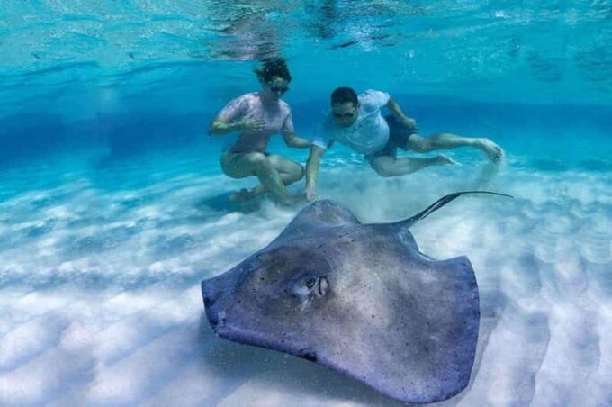 Tulum: Private Transfer to Chichen Itza, Coba, or EK Balam - Frequently Asked Questions