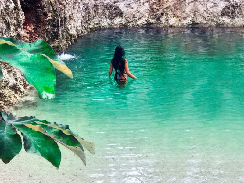 Tulum: Raw Honey & Chocolate Tour With Vegan Lunch & Cenote - Key Points