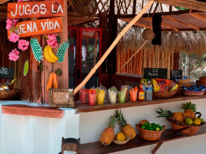 Tulum: Raw Honey & Chocolate Tour With Vegan Lunch & Cenote - Restrictions and Requirements