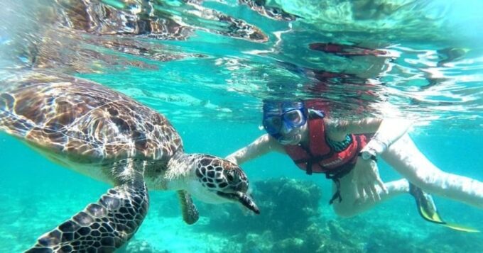 Tulum Reef Snorkeling and Cenote - Availability and Booking