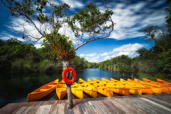Tulum Ruins and 3 Cenotes - Jungle Adventure - Itinerary Highlights