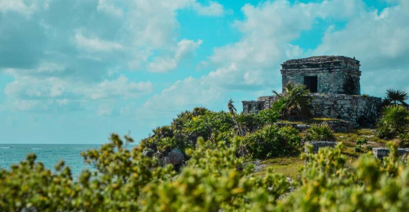 Tulum Ruins and Cenotes Tour - Transportation and Pickup