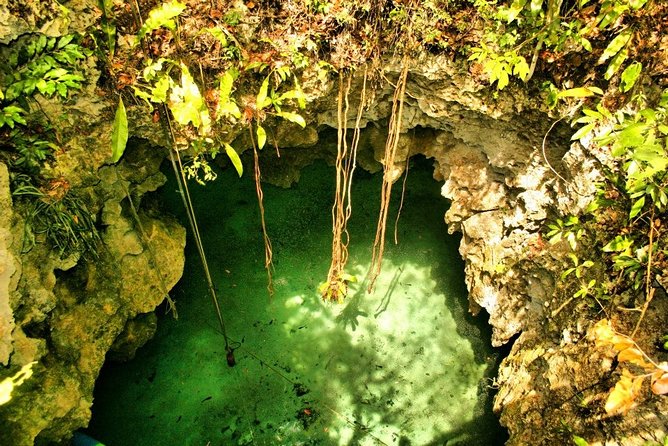 Tulum Ruins & Cenote Guided Private Tour From Tulum and Riviera Maya. - Accessibility and Recommendations