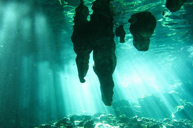 Tulum Ruins & Cenote Guided Private Tour From Tulum and Riviera Maya. - Tour Highlights