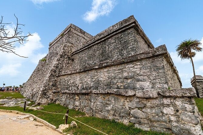 Tulum Ruins, Cenote & Snorkeling Turtles From Playa Del Carmen - Snorkeling Experience