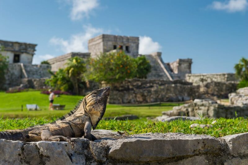 Tulum Ruins Guided Tour From Cancun and Riviera Maya - Transportation Pickup Locations