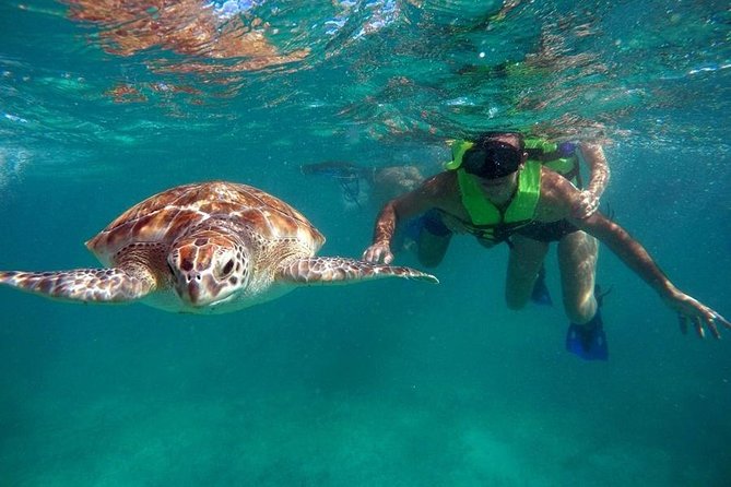 Tulum Ruins Swim With Turtles in Akumal and Cenote - Schedule and Timing