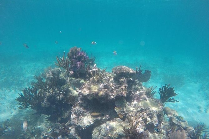 Tulum Ruins Swim With Turtles in Akumal and Cenote - Tulum Archeological Site