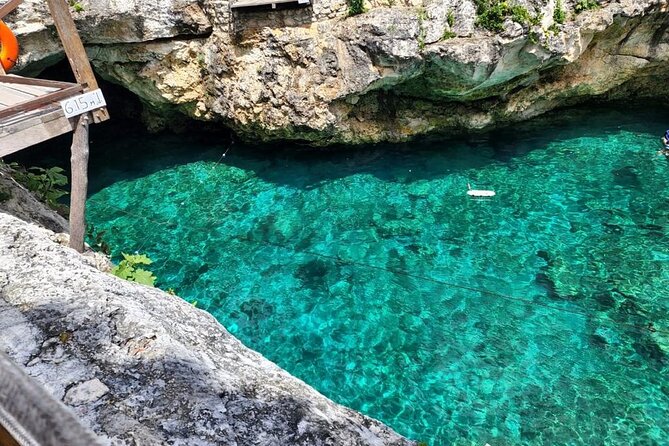 Tulum Ruins & Swimming With Turtles From Playa Del Carmen - Snorkeling With Turtles