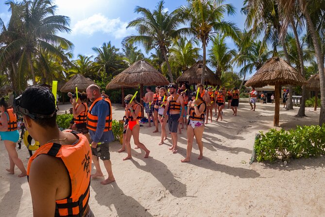 Tulum Ruins & Swimming With Turtles From Playa Del Carmen - Positive Customer Experiences