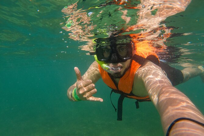 Tulum Ruins & Swimming With Turtles From Playa Del Carmen - Frequently Asked Questions