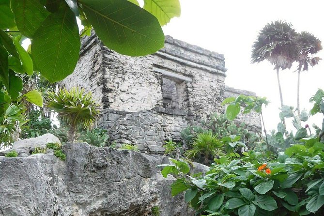 Tulum Ruins Tour (Private, Half Day) - Tour Participation