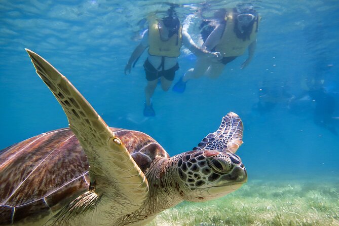Tulum Ruins, Turtle Sighting and Underground Caves - Highlights of the Tour