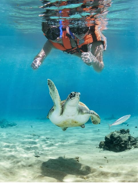 Tulum: Ruins, Turtles & Undeground Cenote! Culture & Nature - Included Amenities and Provisions